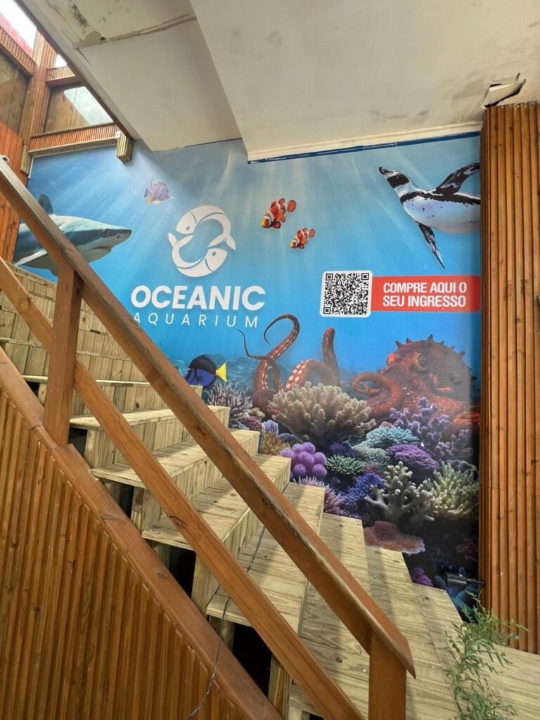 Adesivo personalizado em Balneário Camboriú e Região